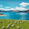 new zealand