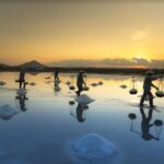 Những cánh đồng muối nổi tiếng nhất Việt Nam