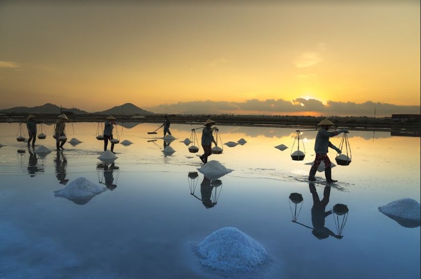Những cánh đồng muối nổi tiếng nhất Việt Nam