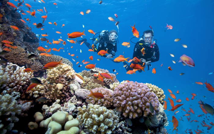 Lặn biển để ngắm san hô đẹp nhất Phú Quốc