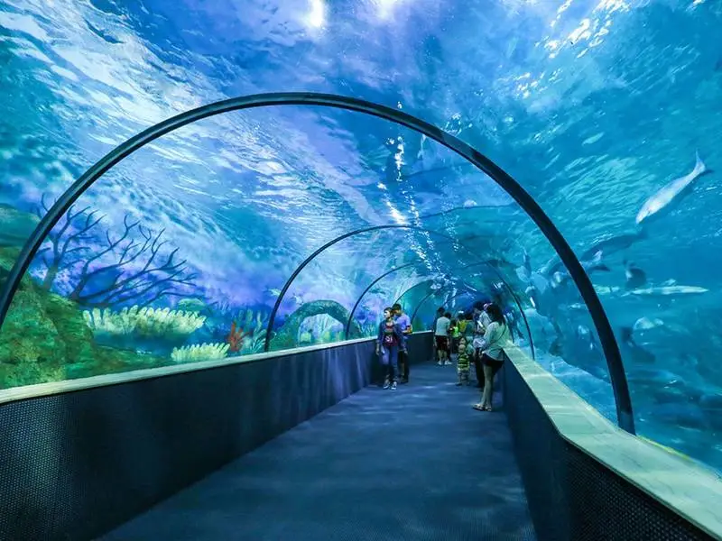 Thủy Cung Vinpearl Aquarium Times City