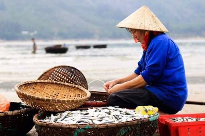hải sản tại biển Xuân Hải, Hà Tĩnh