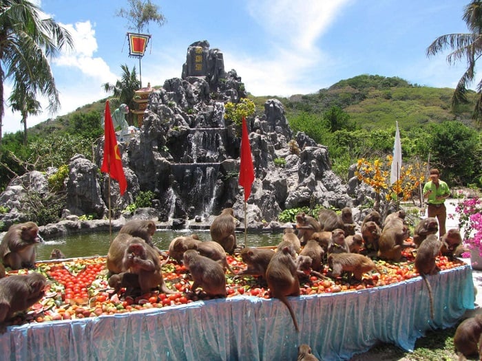 lễ hội hoa quả sơn tại đảo khỉ có gì đặc sắc