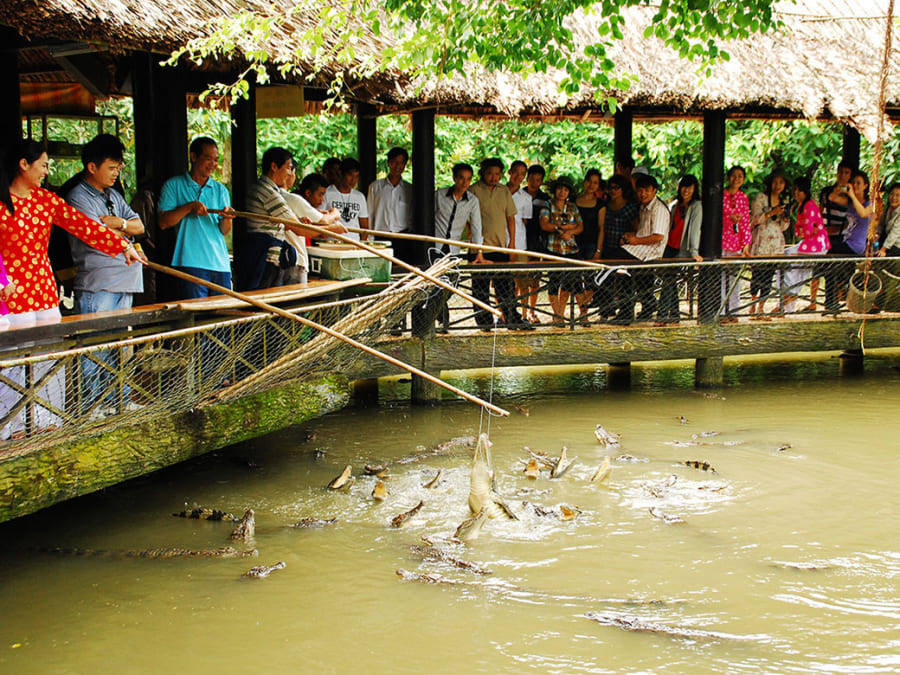 Bể cá sấu tại vườn Mỹ Khánh 